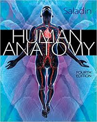 Human Anatomy