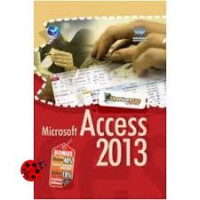 Microsoft Access 2013