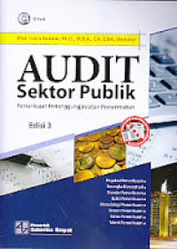 Audit sektor publik : pemeriksaan pertanggungjawaban pemerintahan