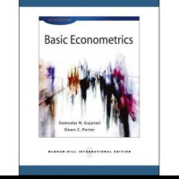 Basic Econometrics