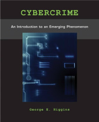 Cybercrime : An introduction to an emerging phenomenon