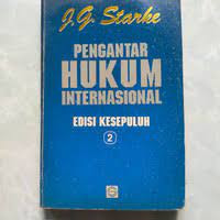 Pengantar hukum internasional