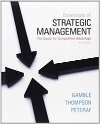 Essentials of strategic management the quest for competitive advantage